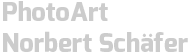 PhotoArt Logo